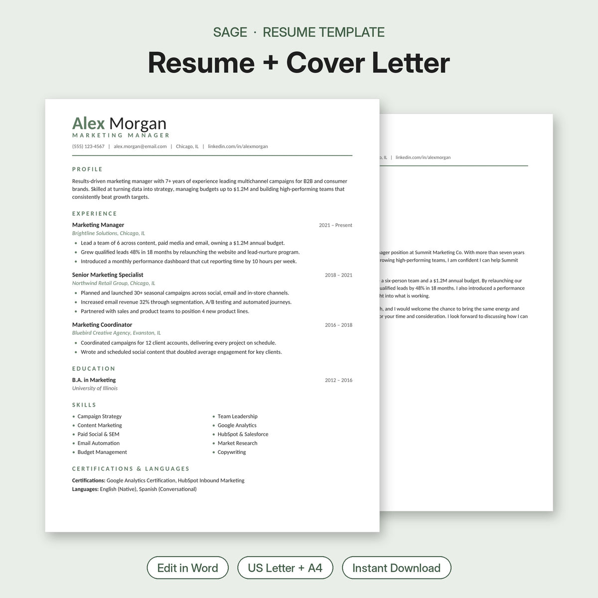 Sage resume template and cover letter – minimal modern editable Word resume with sage green accents